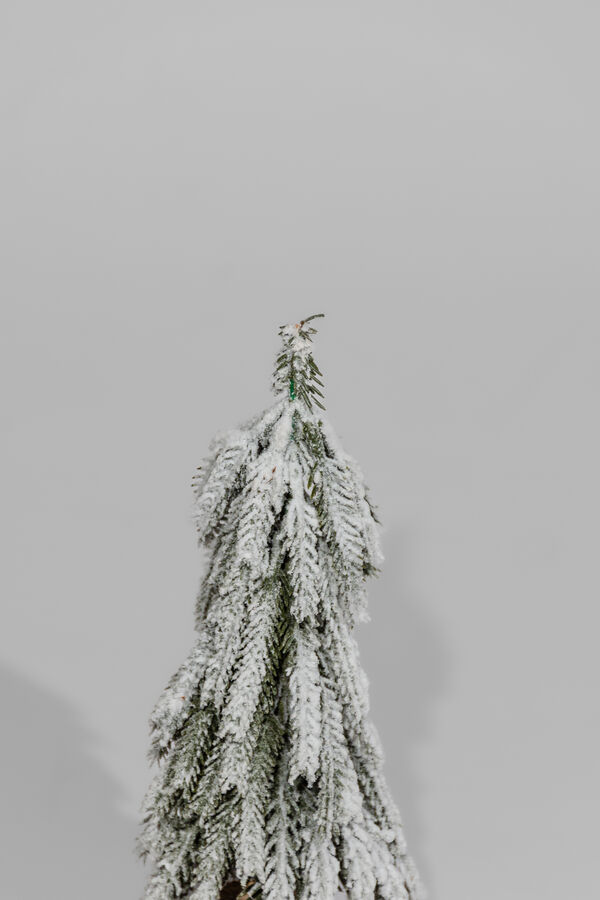 Deco Navidad Pino Nevado COLOR UNICO image number null