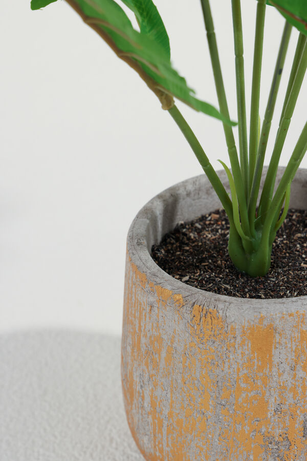 Planta Helecho 42cm COLOR UNICO image number null