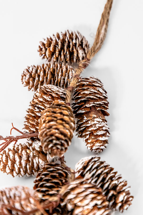 Colgante Rama Pi&ntilde;as Nevadas COLOR UNICO image number null