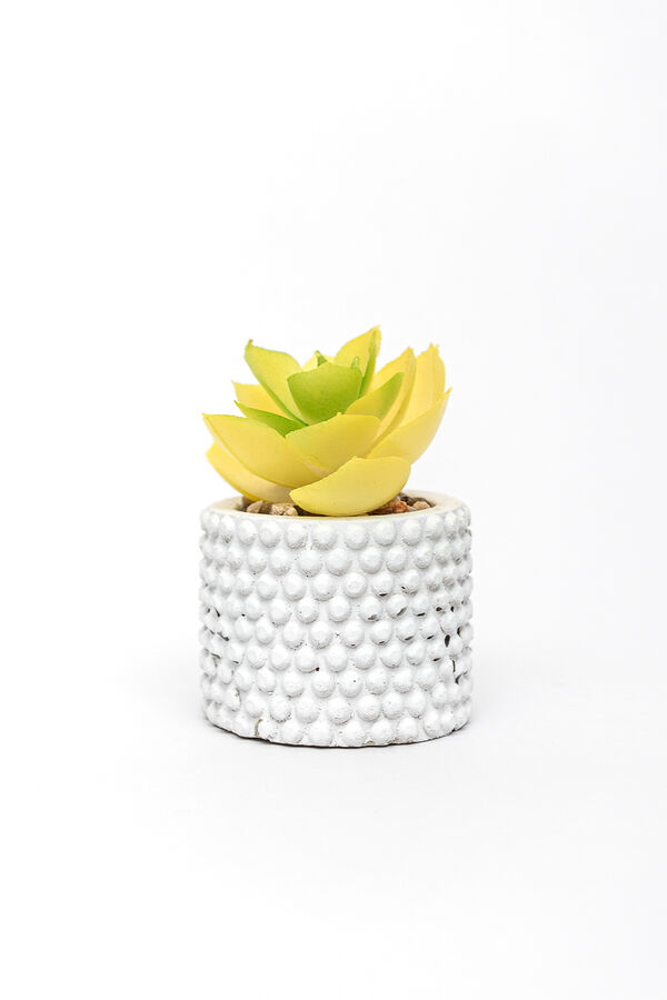 Planta Suculenta 691 Mini, Mix COLOR UNICO image number null