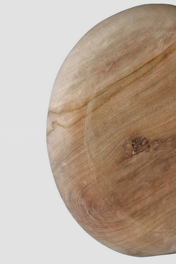 Bandeja Root COLOR UNICO image number null