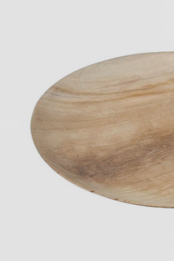 Bandeja Root COLOR UNICO image number null