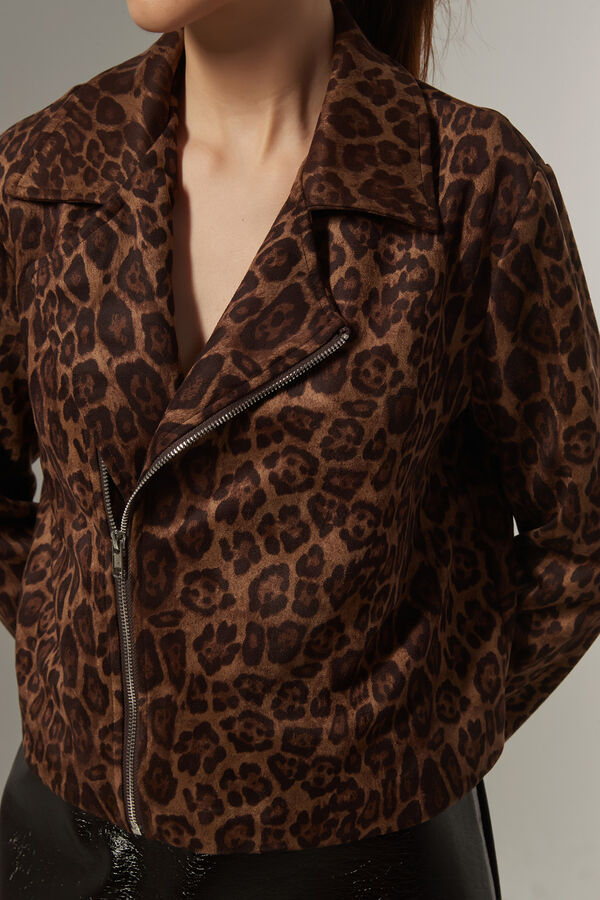 CHAQUETA DRIM GUSTO 1 image number null