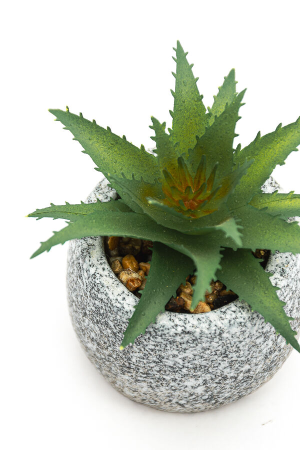 Planta suculenta artificial, mini COLOR UNICO image number null