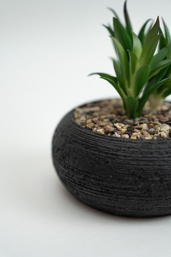 Planta Quovi GUSTO 2 image number null