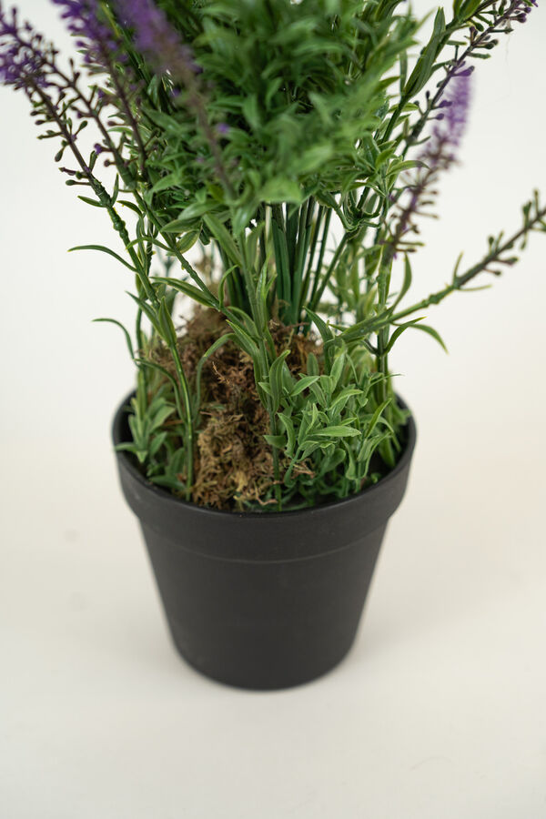 Planta LAVENDER 48CM COLOR UNICO image number null
