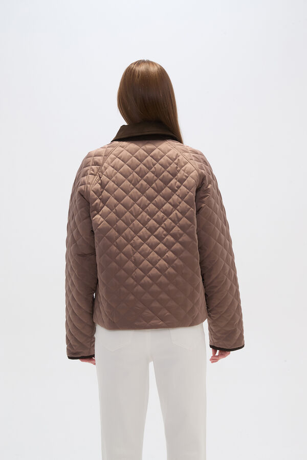 CAMPERA BIANZA TAUPE / MINK / VISON image number null