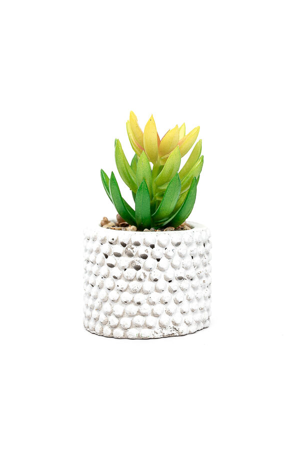 Planta Suculenta 691 Mini, Mix COLOR UNICO image number null