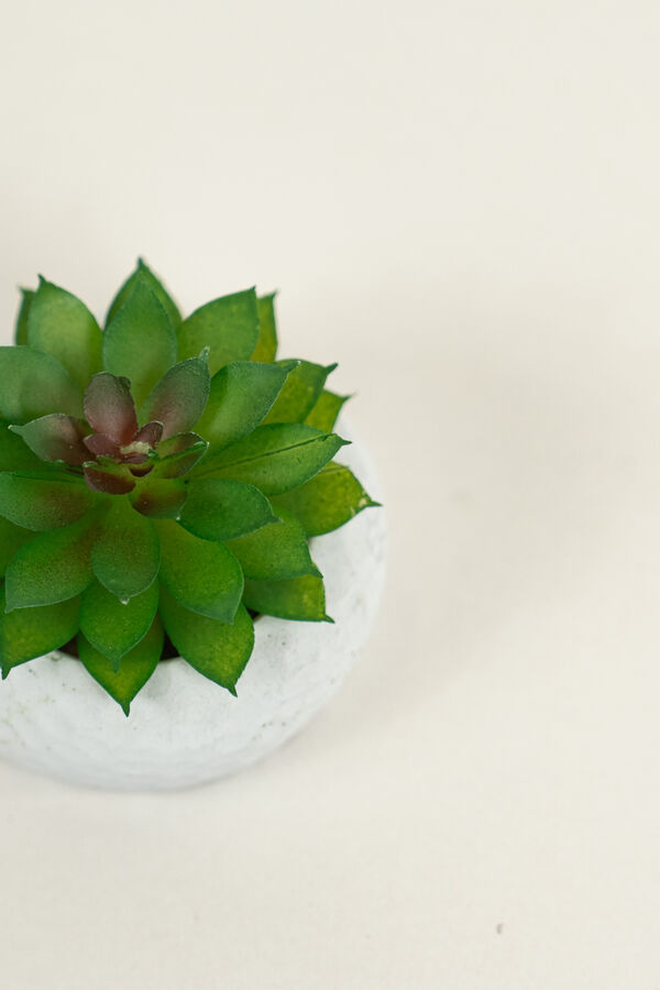 Planta Suculenta 690 Mini, Mix COLOR UNICO image number null