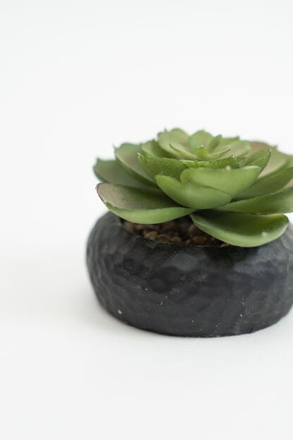 Planta Suculenta 692 Mini, Mix COLOR UNICO image number null