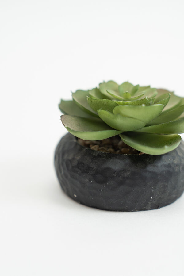 Planta Suculenta 692 Mini, Mix COLOR UNICO image number null