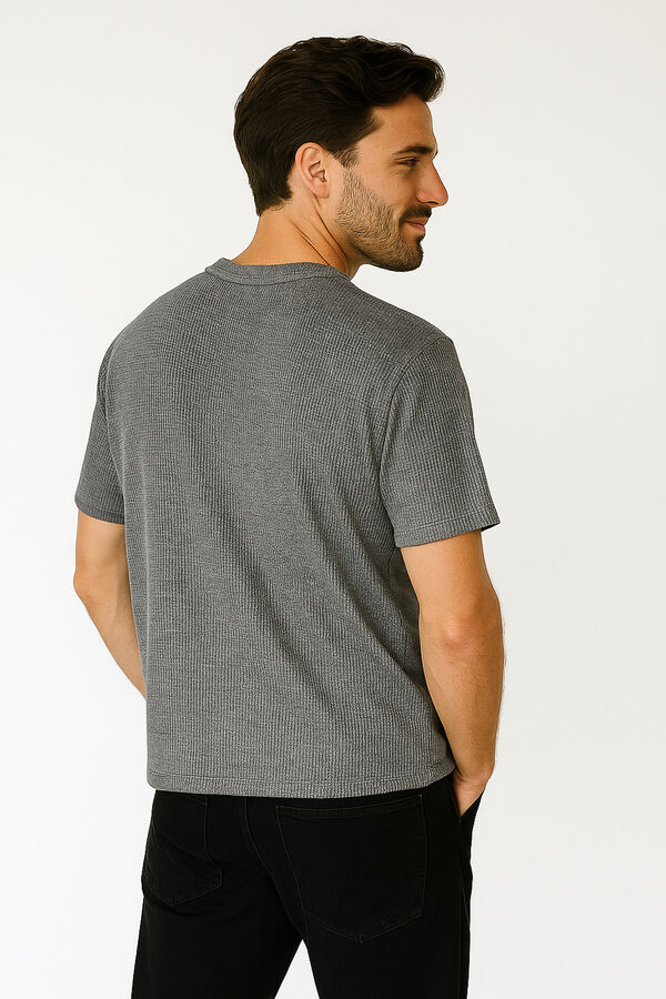 REMERA EVERELDO GRIS MEDIO image number null
