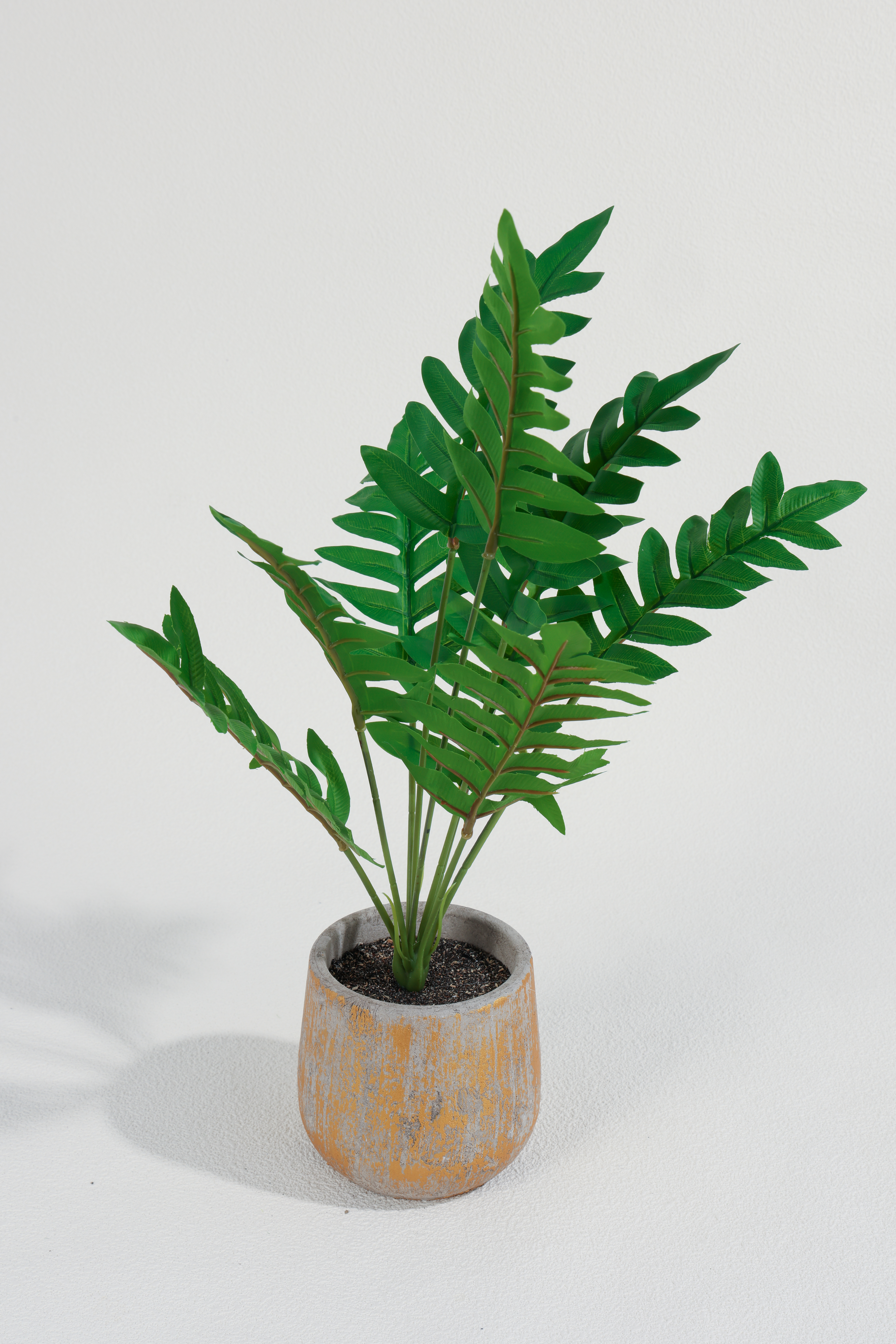 Planta Helecho 42cm COLOR UNICO